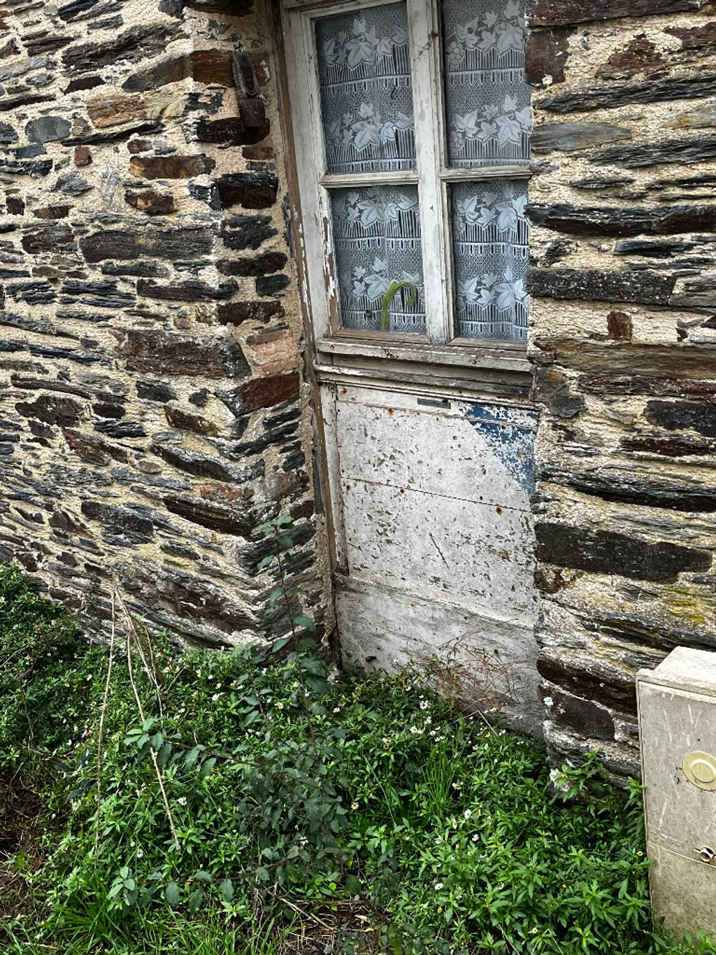 Problème de voisinage : jardin non entretenu