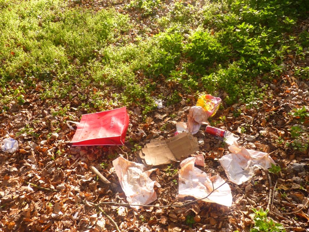Déchets au Parc de Quiévrechain