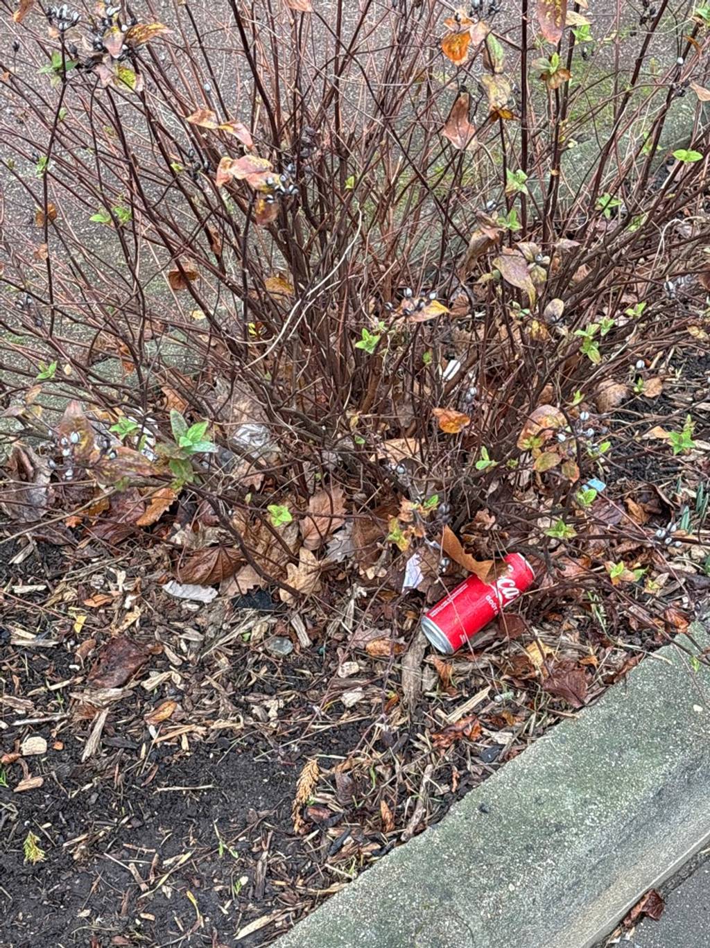 Photo 2 - Rue sale et déchets sur trottoirs