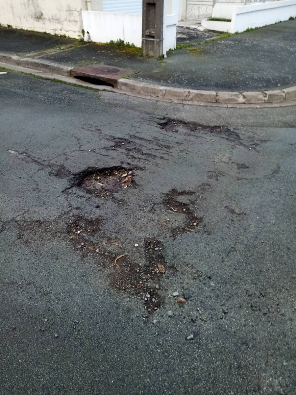 Photo 3 - Trous dangereux pour cyclistes N°12