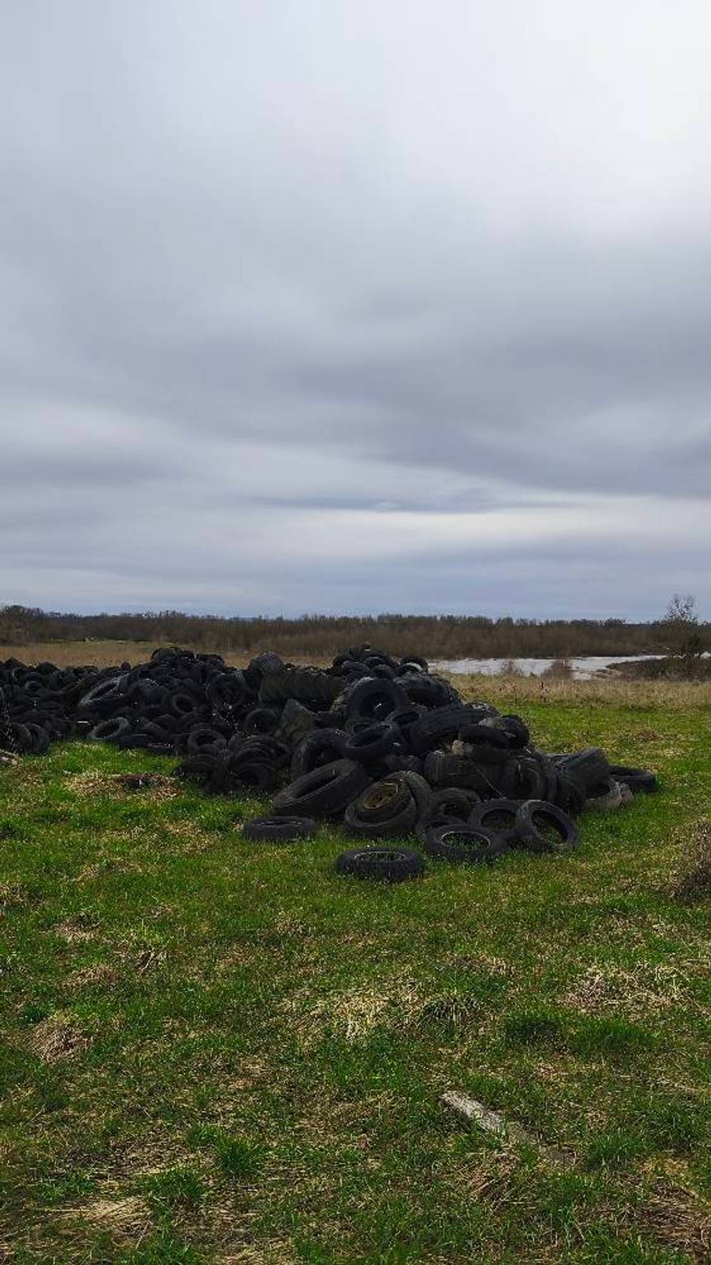 Photo 2 - Dépôt sauvage de ferraille et pneus