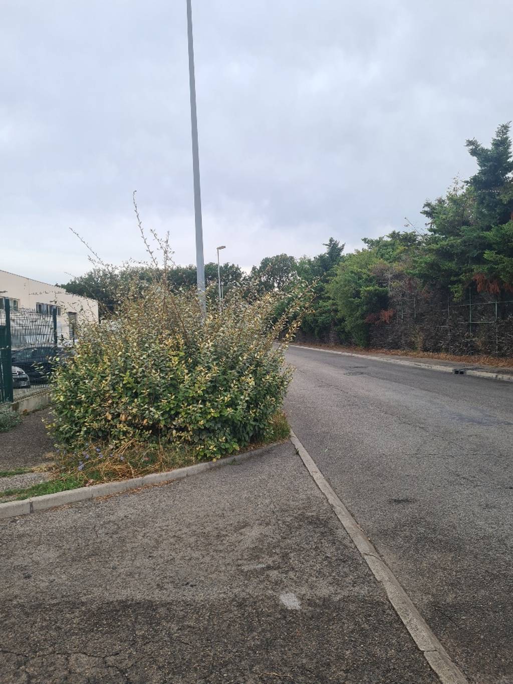 Entretien espaces verts Avenue de Provence