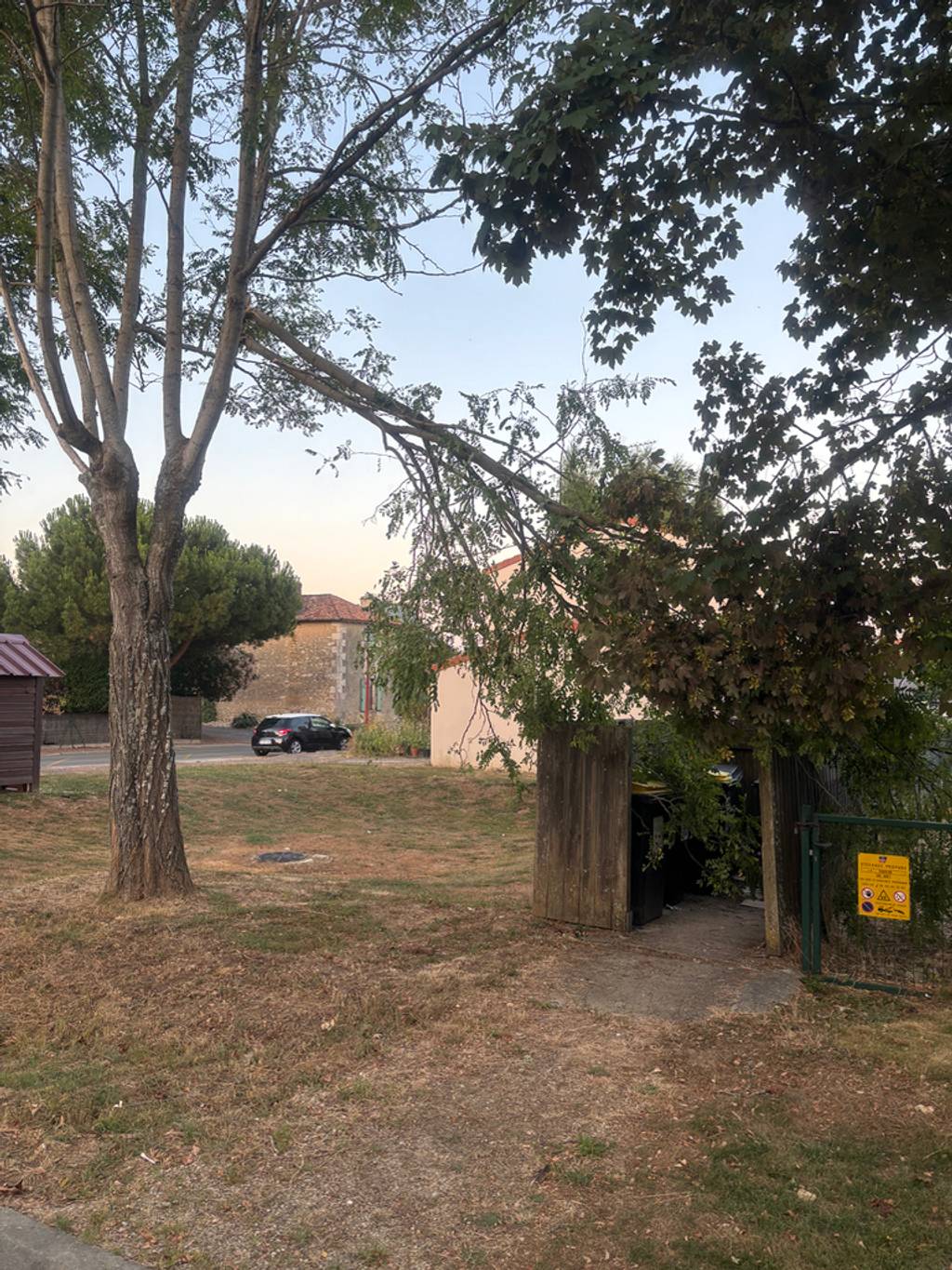 Branche cassée sur le local poubelle.