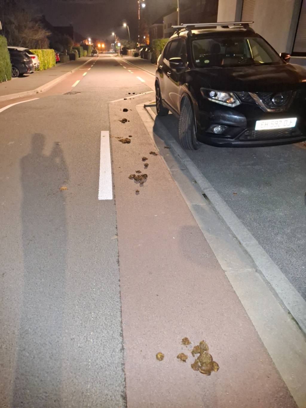 Ramassage déchets chevaux devant maison.