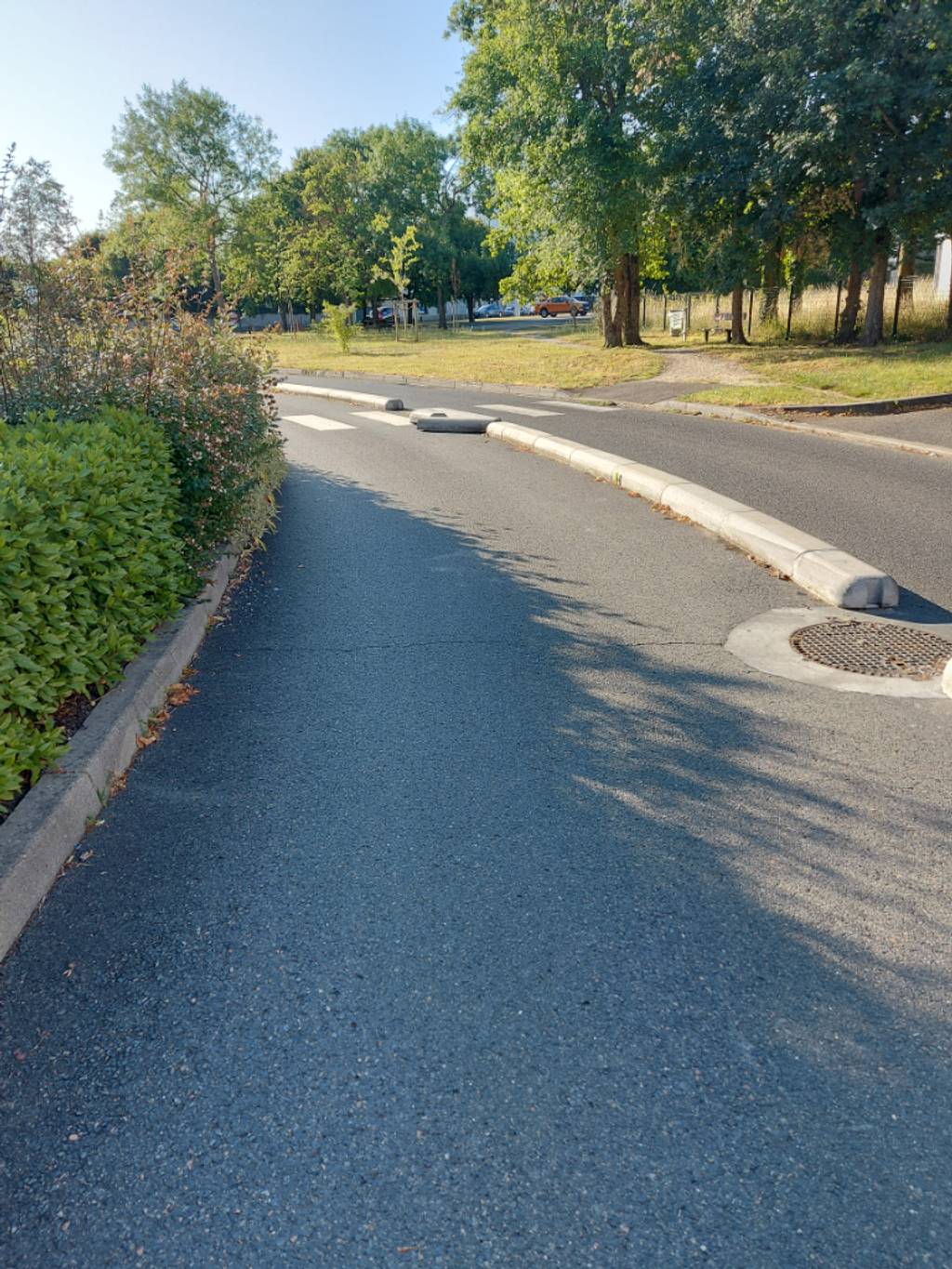 Danger sur piste cyclable : plots défectueux.