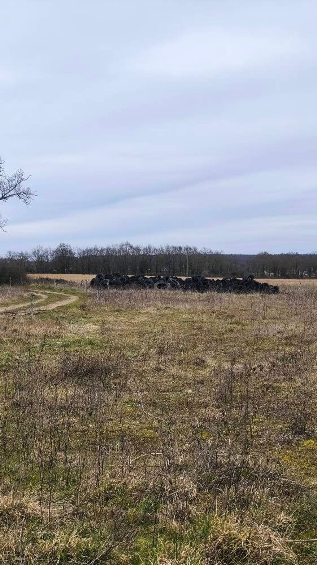 Photo 5 - Dépôt sauvage de ferraille et pneus