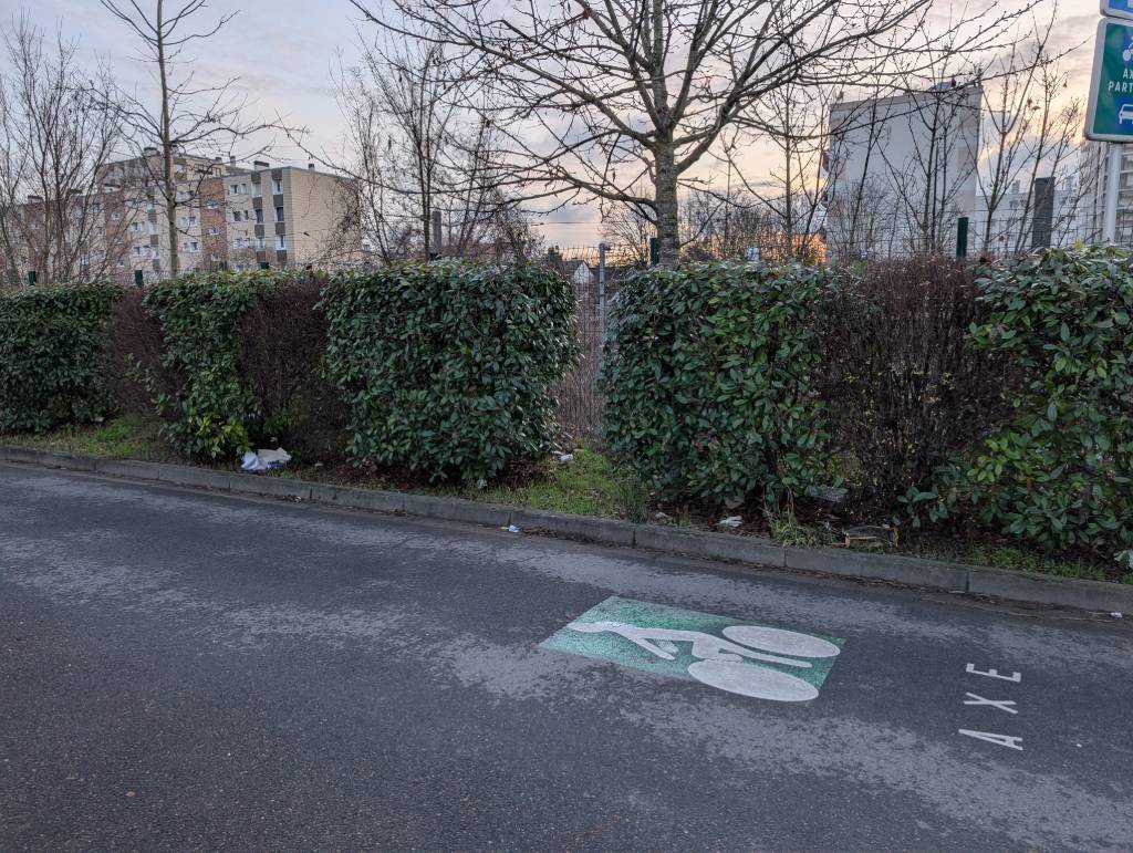 Photo 3 - Déchets envolés après tempête rue Diderot