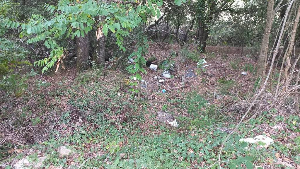 Décharge sauvage près chemin canal.