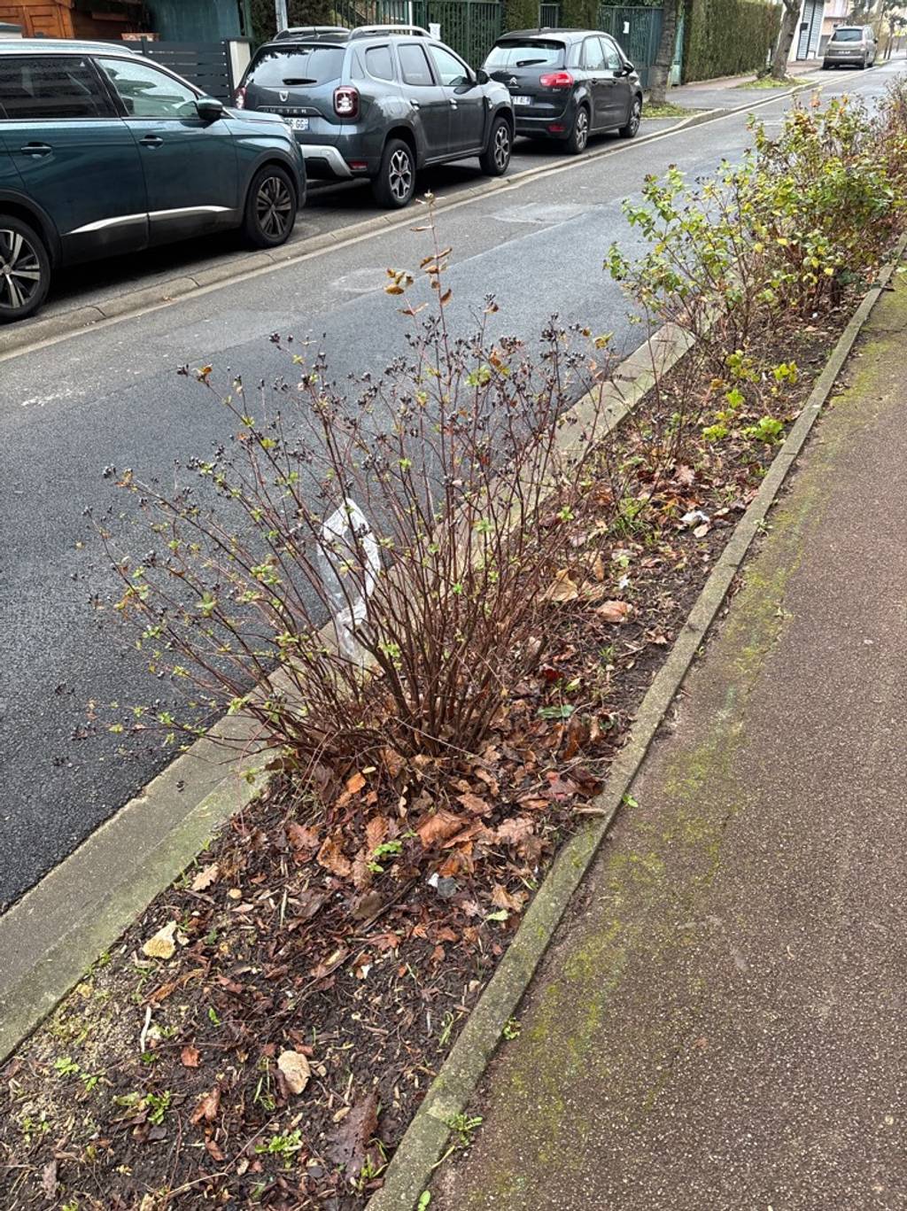 Rue sale et déchets sur trottoirs