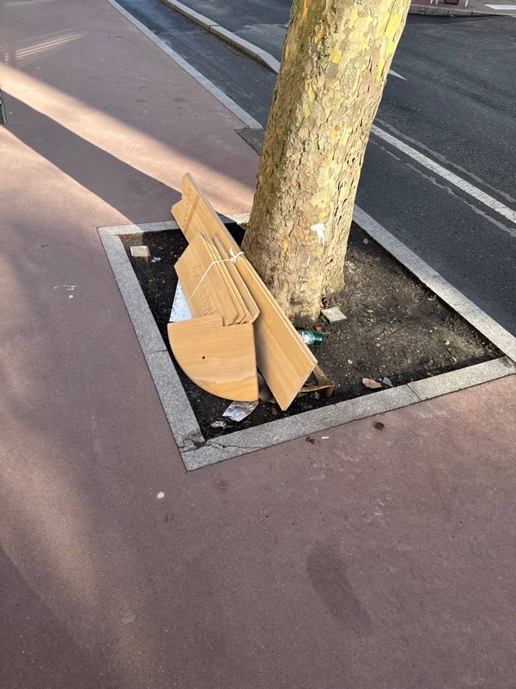 Photo 2 - Déchets près arbres 124 et 128