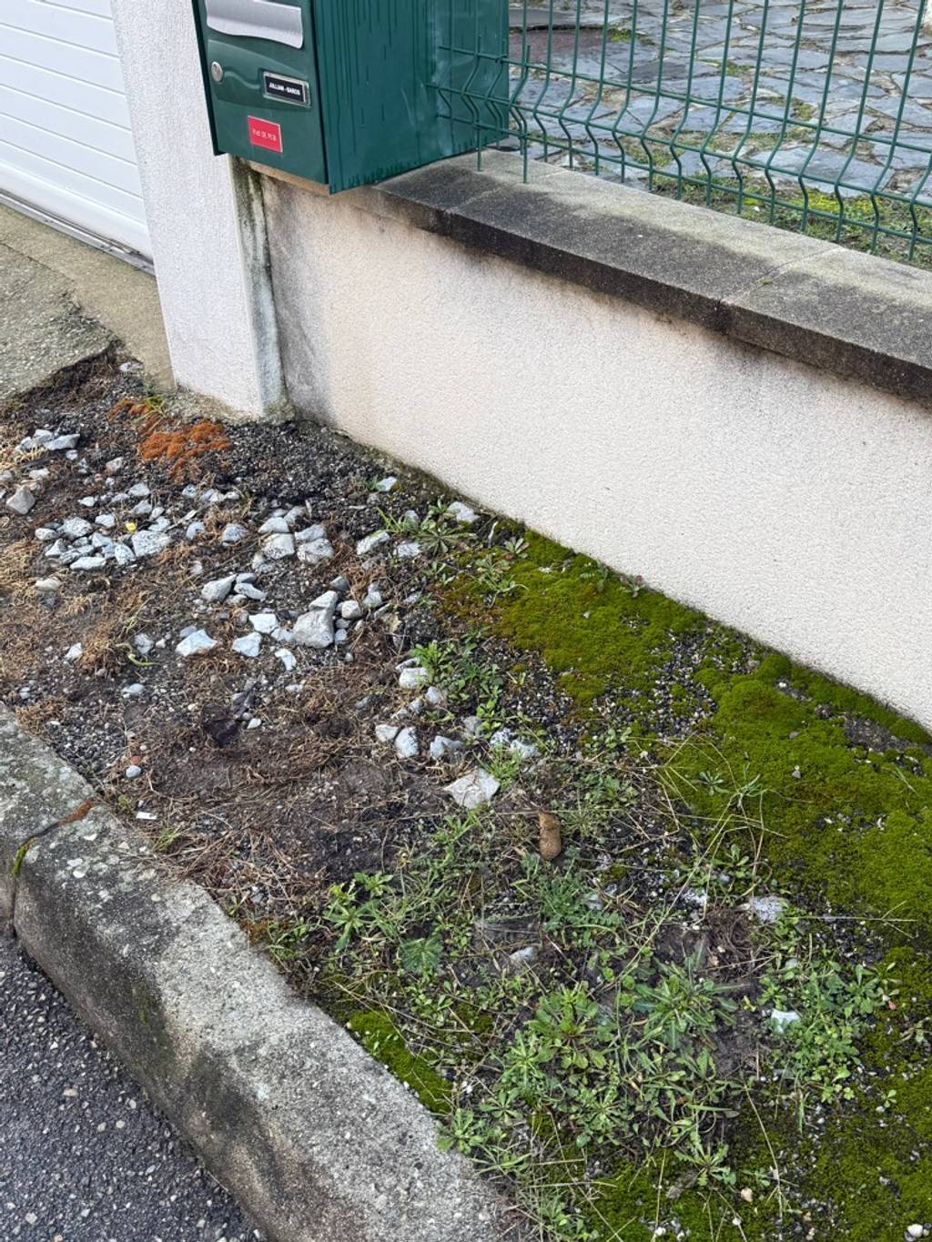 Déjections canines devant boîte aux lettres