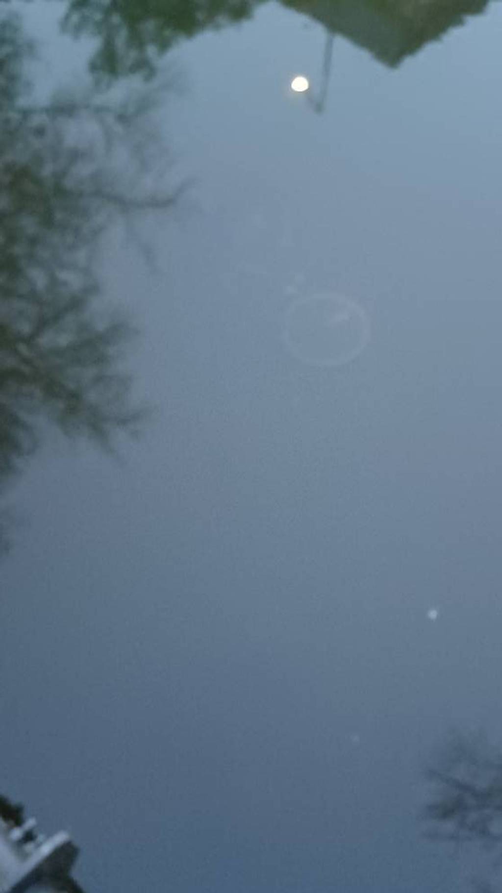 Vélo tombé dans le cours d'eau