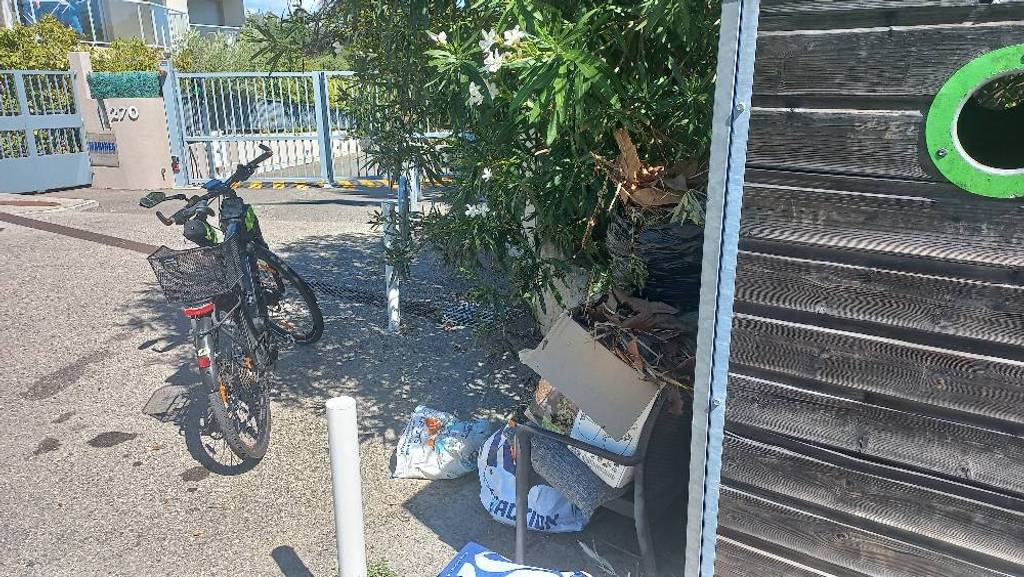 Dépôt sauvage près du conteneur verre.