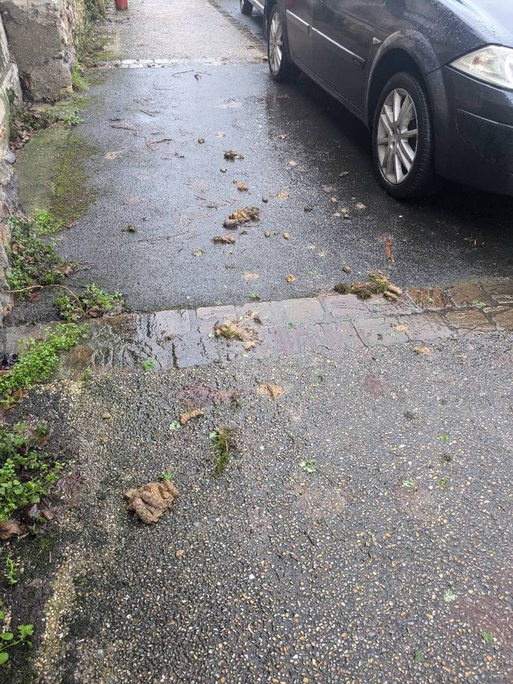 Excréments d'animaux devant portail et route.