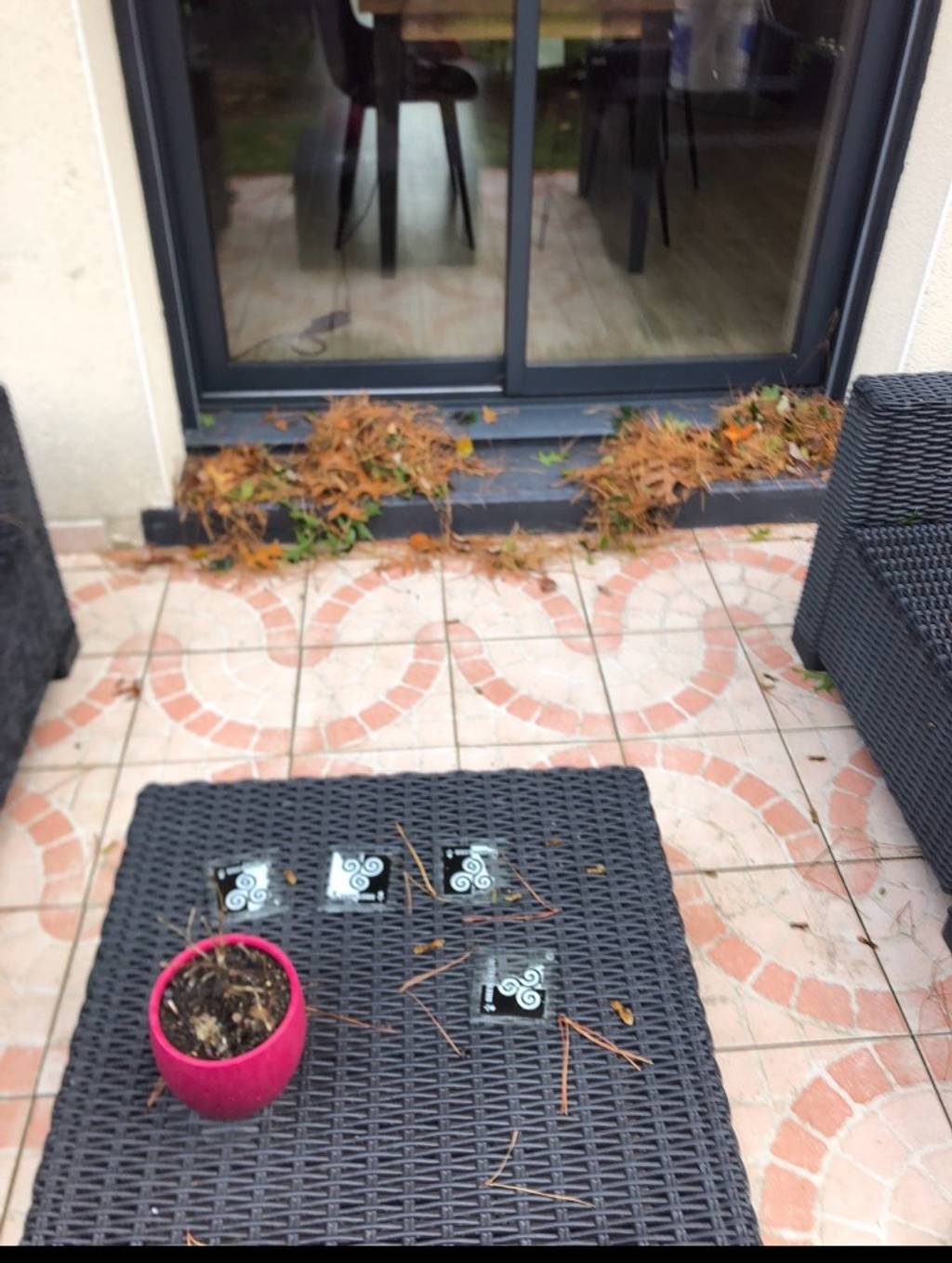 Arbre gênant devant habitation