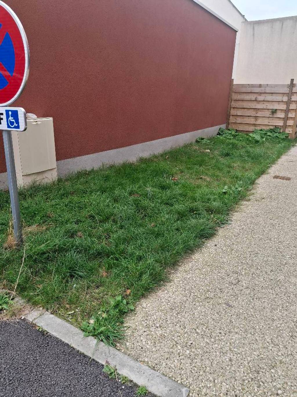 Entretien espace vert 1 rue Commerce.