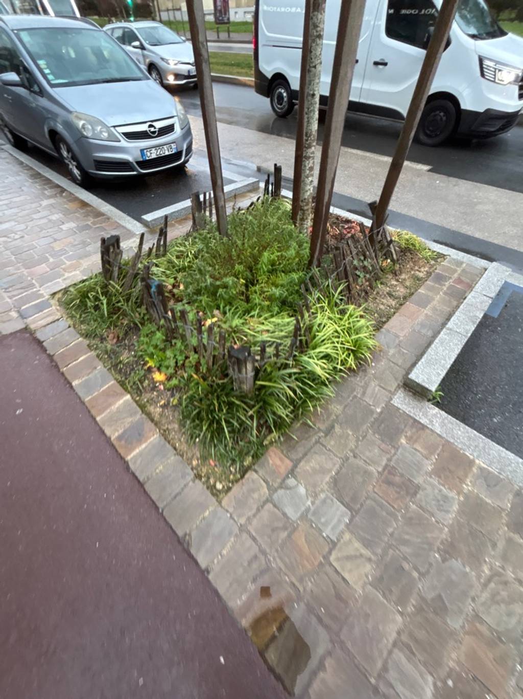 Photo 2 - Piquets en bois délimitation abîmés