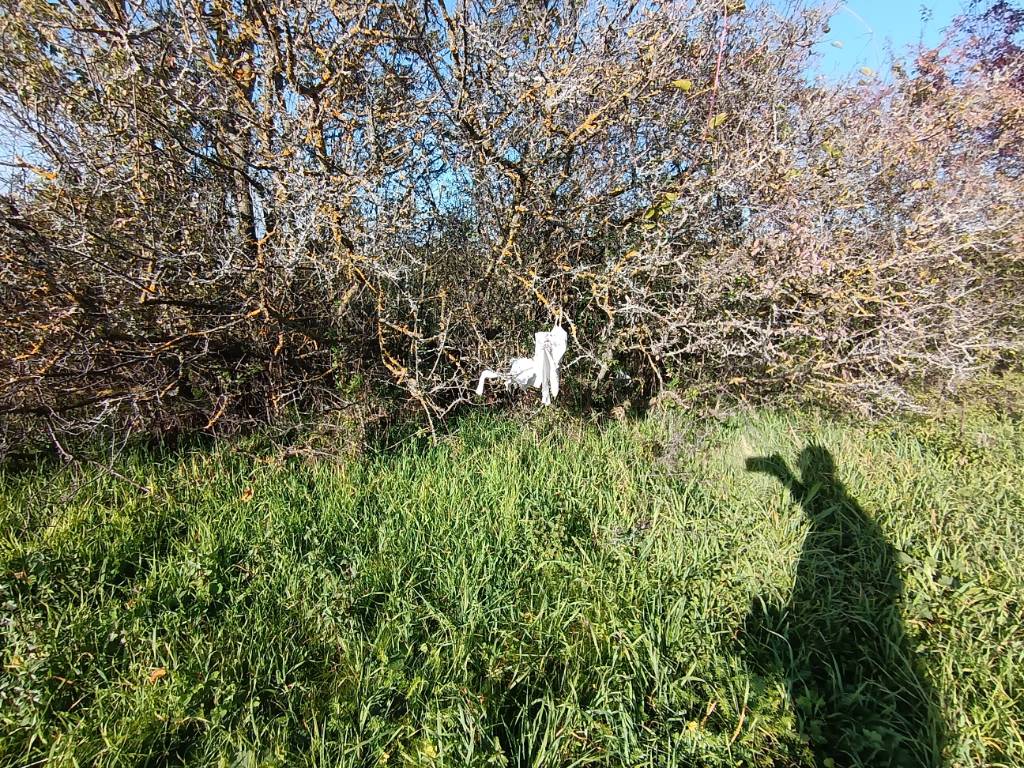 Photo 5 - Dépôt sauvage près de l'allée piétons