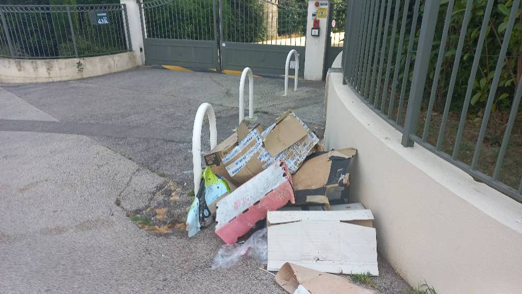 Dépôt sauvage non résolu depuis 5 jours.