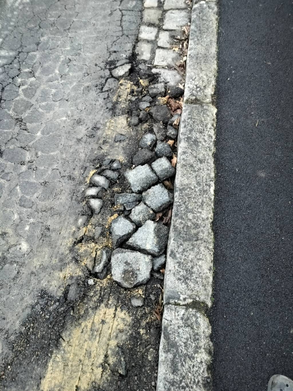 Photo 2 - Chaussée affaissée 649 rue Fernand Léger