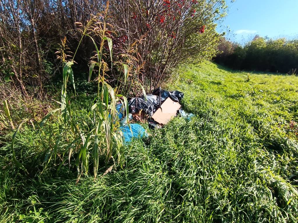 Photo 2 - Dépôt sauvage près de l'allée piétons