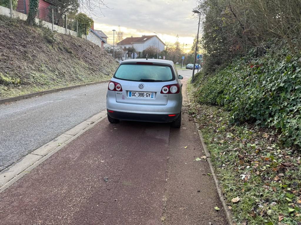 Voiture bloquant trottoir et piste cyclable