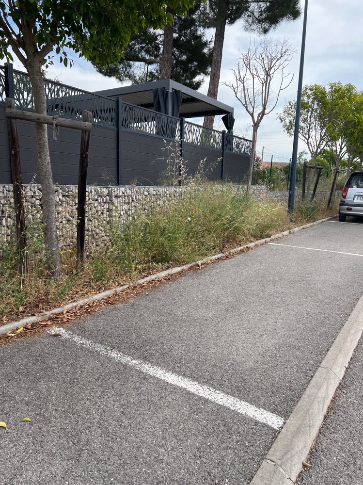 Photo 3 - Végétation envahissante trottoir non entretenu