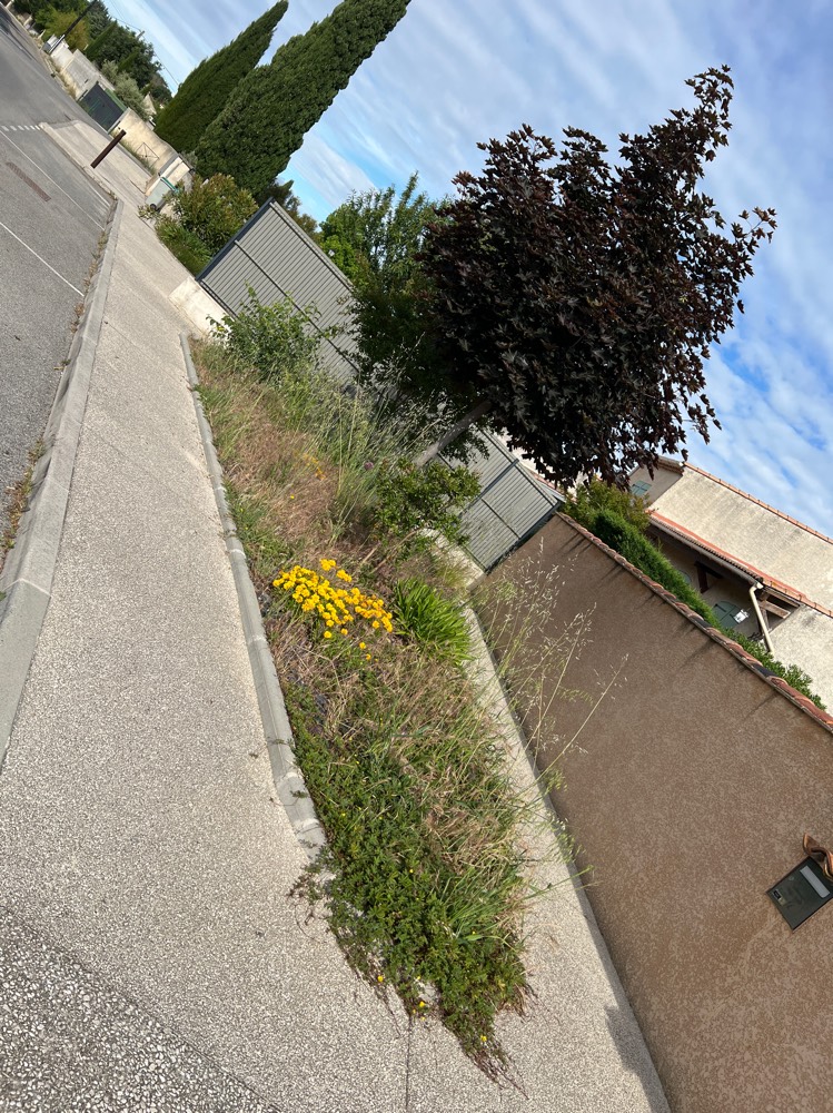 Signalement Entretien espaces verts voirie ville