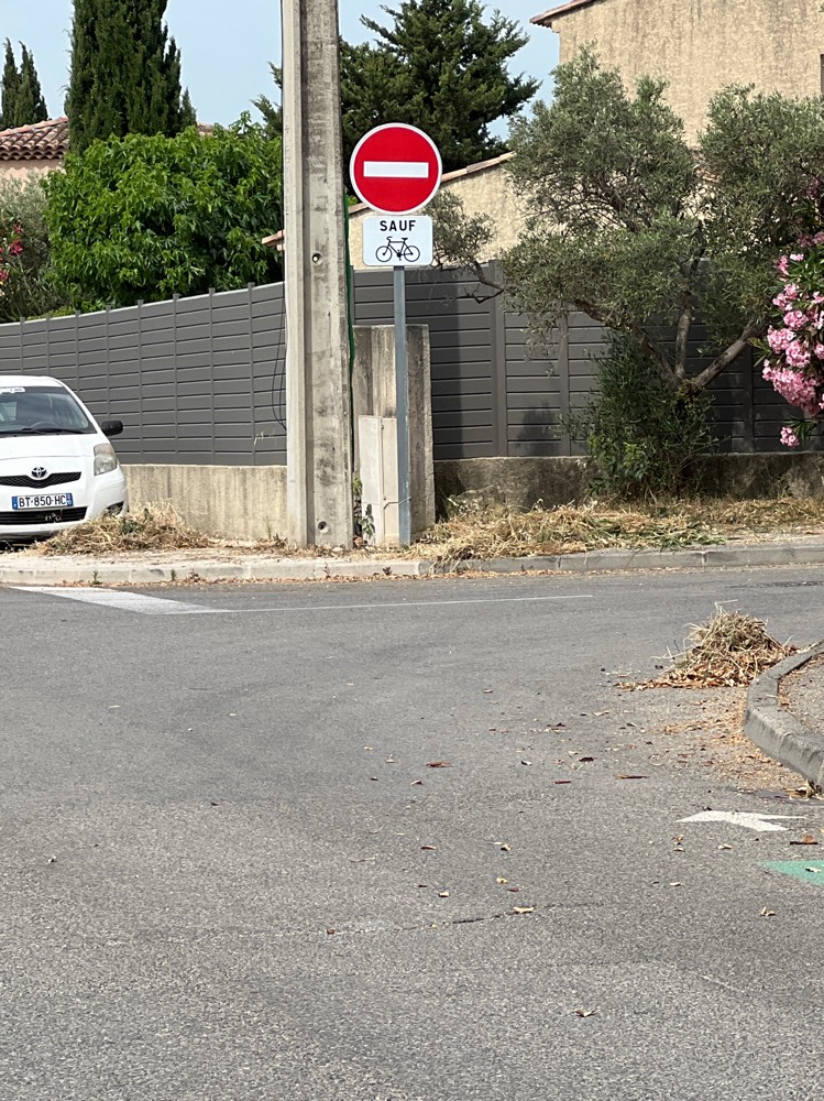 Photo 2 - Déchets verts non ramassés trottoir