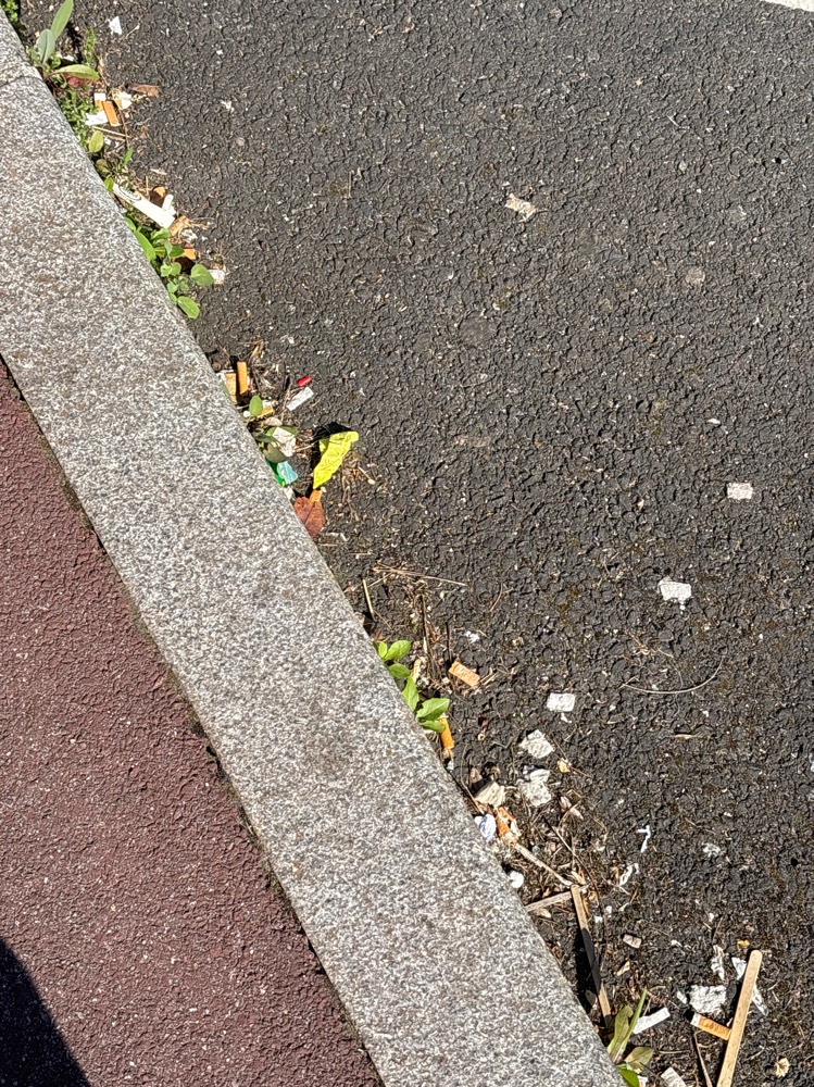 Photo 5 - Déchets sur places de parking