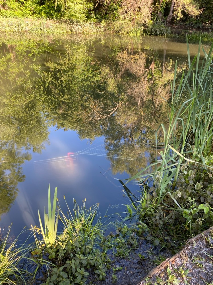 Photo 3 - Caddie dans l’eau