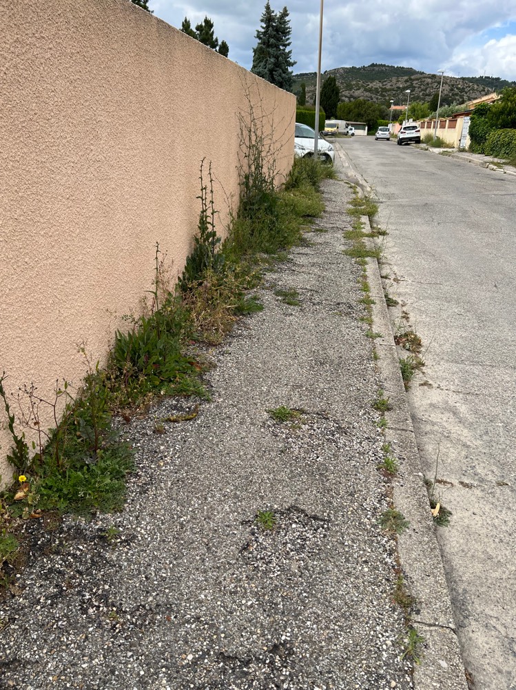Signalement Trottoir envahi mauvaises herbes
