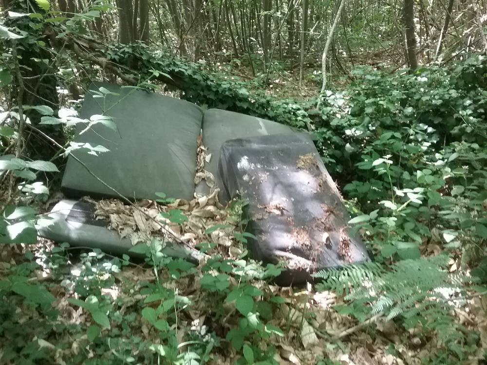 Signalement Déchets encombrants chemin piéton