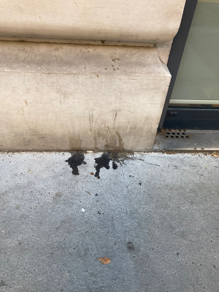 Photo 4 - Trottoirs souillés urine permanence