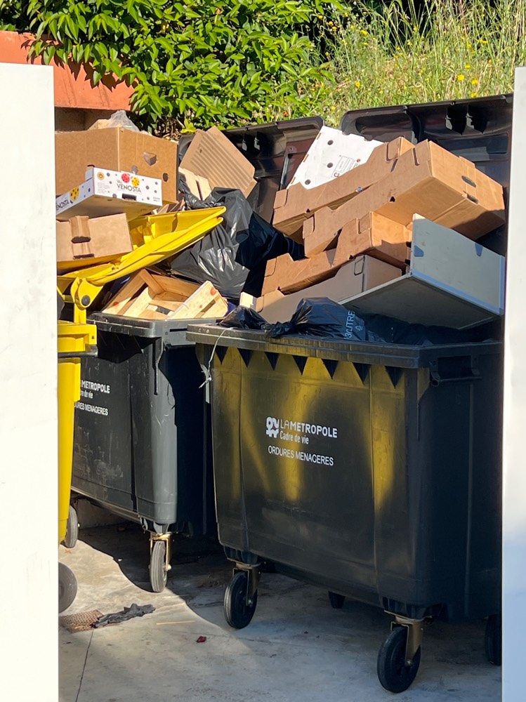 Signalement Conteneurs débordants de déchets non triés