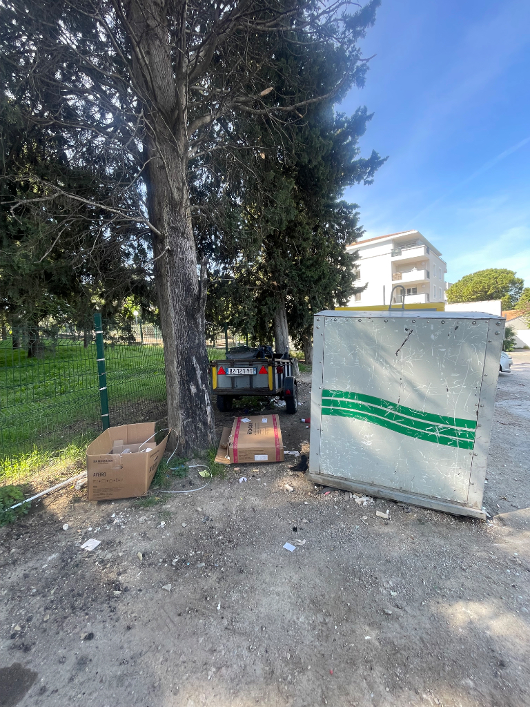 Photo 2 - Dépôt sauvage terre-plein