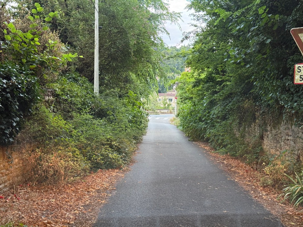 Signalement Végétation envahissante chemin