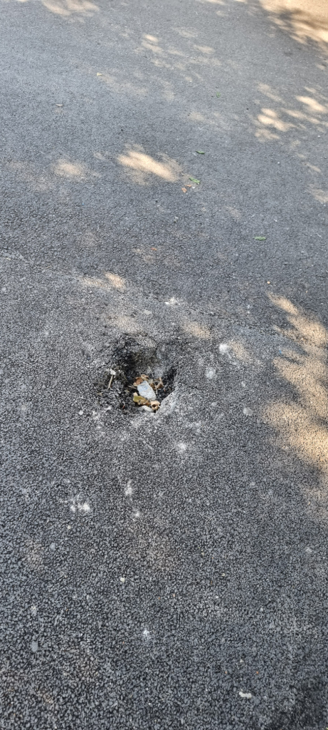 Photo 2 - Piquet arraché avenue du Général De