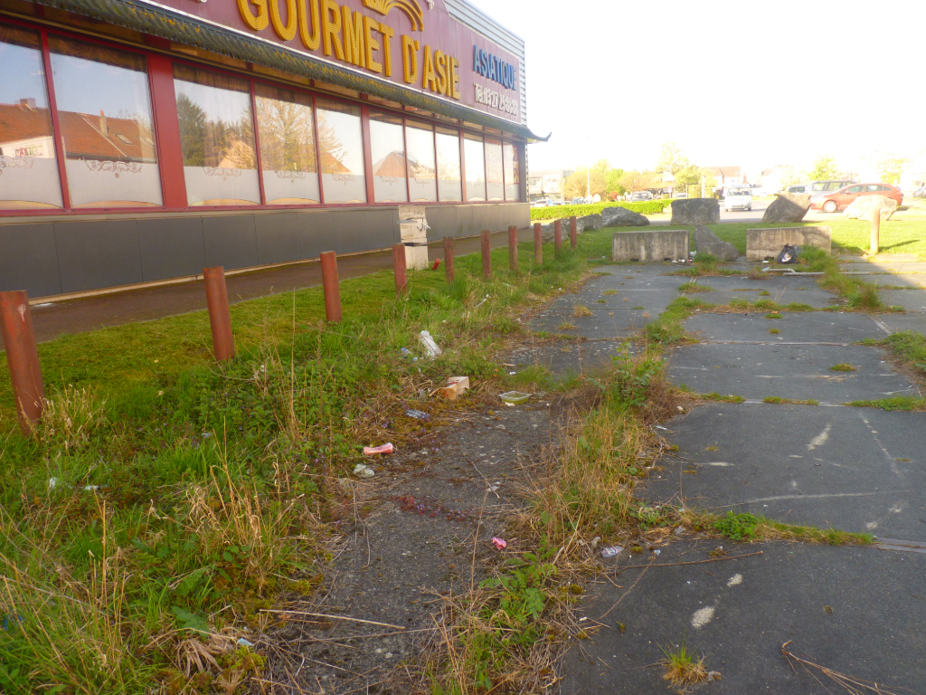 Signalement Déchets sauvages devant restaurant Gourmet d'Asie