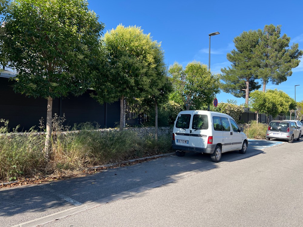 Signalement Végétation envahissante trottoir chaussée
