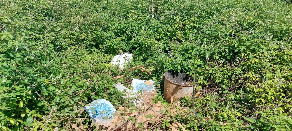 Signalement Déchets sauvages espace vert
