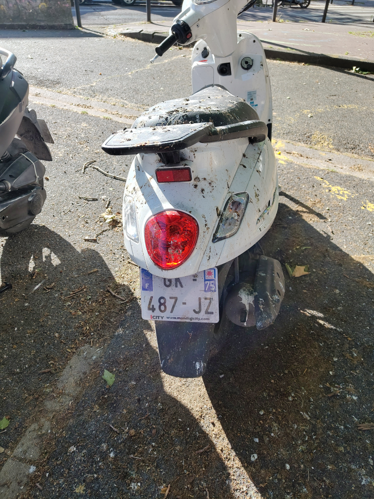 Photo 3 - Scooters abandonnés accès vélos