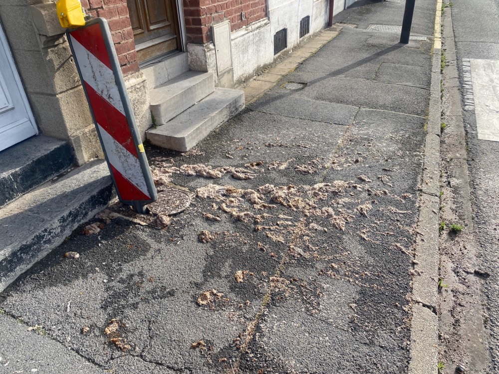 Photo 2 - Déversement égout trottoir