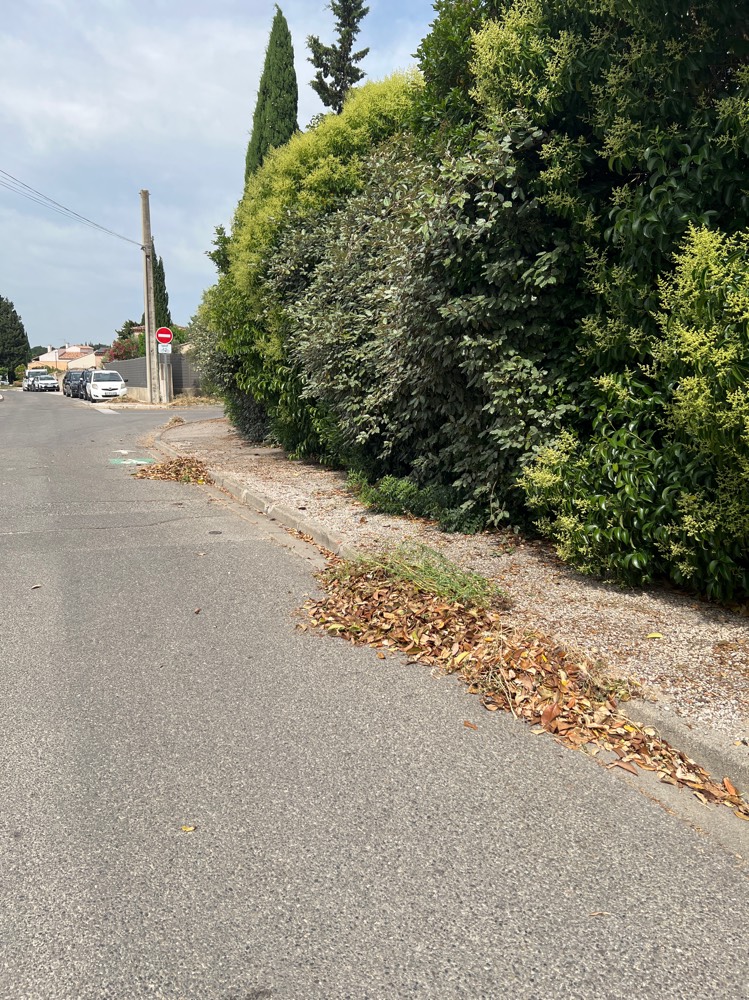 Signalement Déchets verts non ramassés trottoir