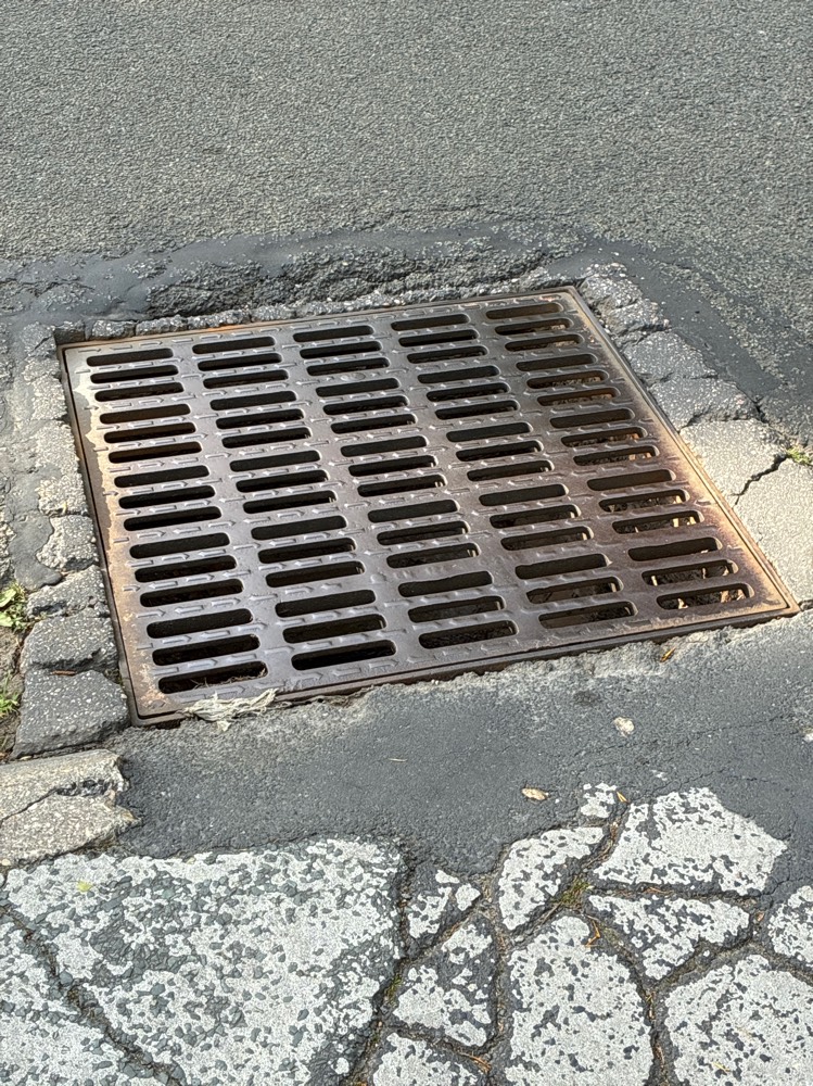 Photo 2 - Plaque d'égout défectueuse