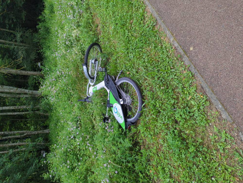 Signalement Vélo électrique abandonné zone herbeuse