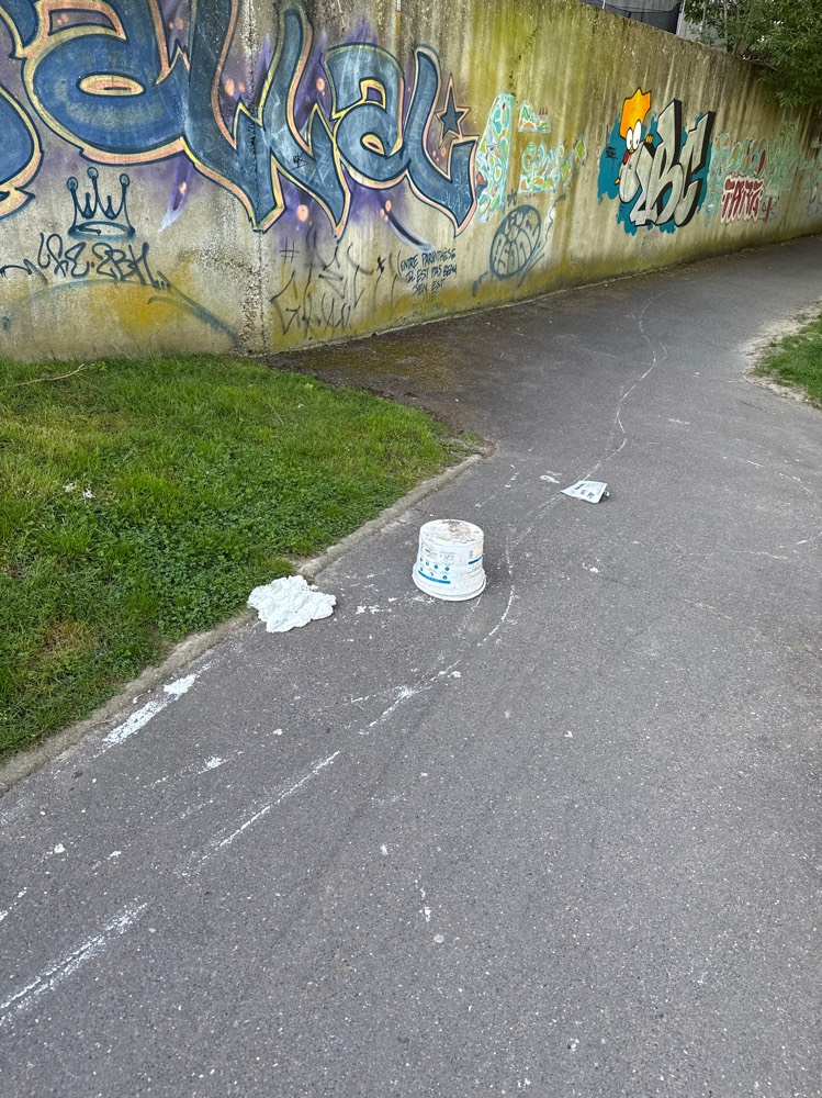 Photo 2 - Peinture renversée sur chemin