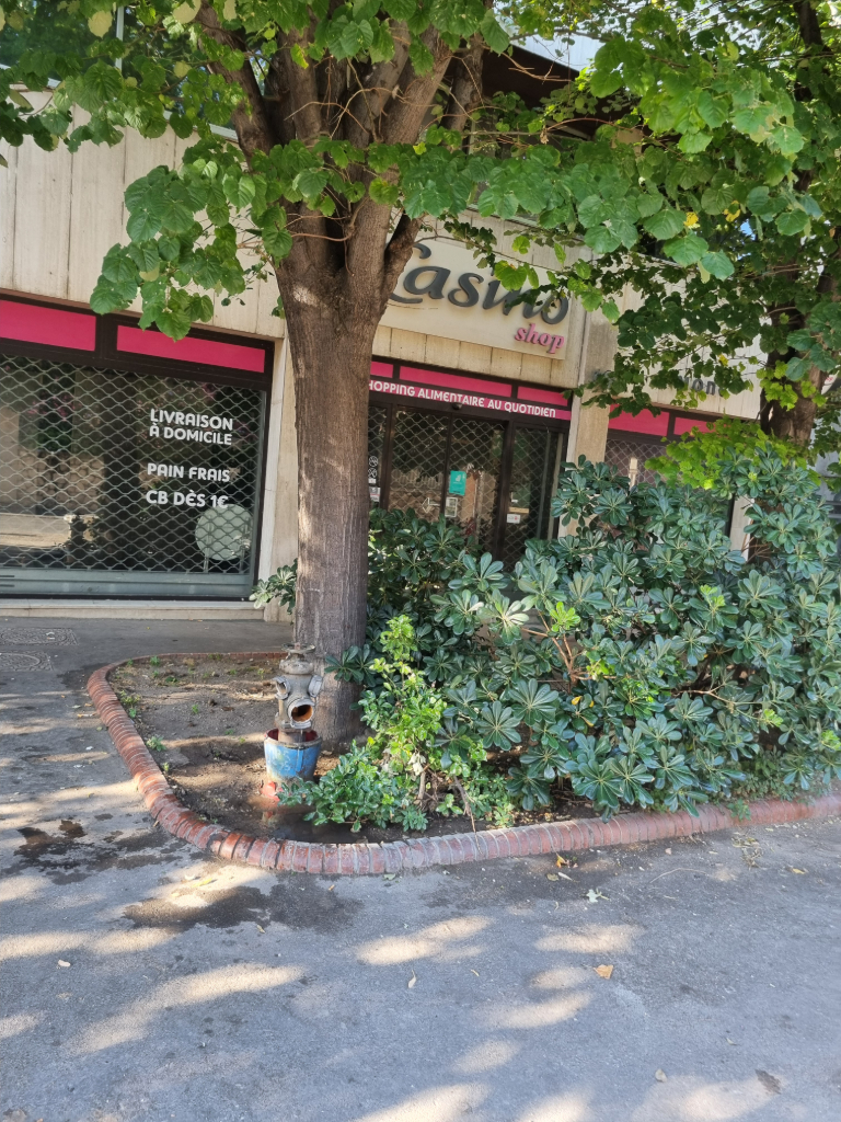 Photo 2 - Fuite d'eau borne incendie