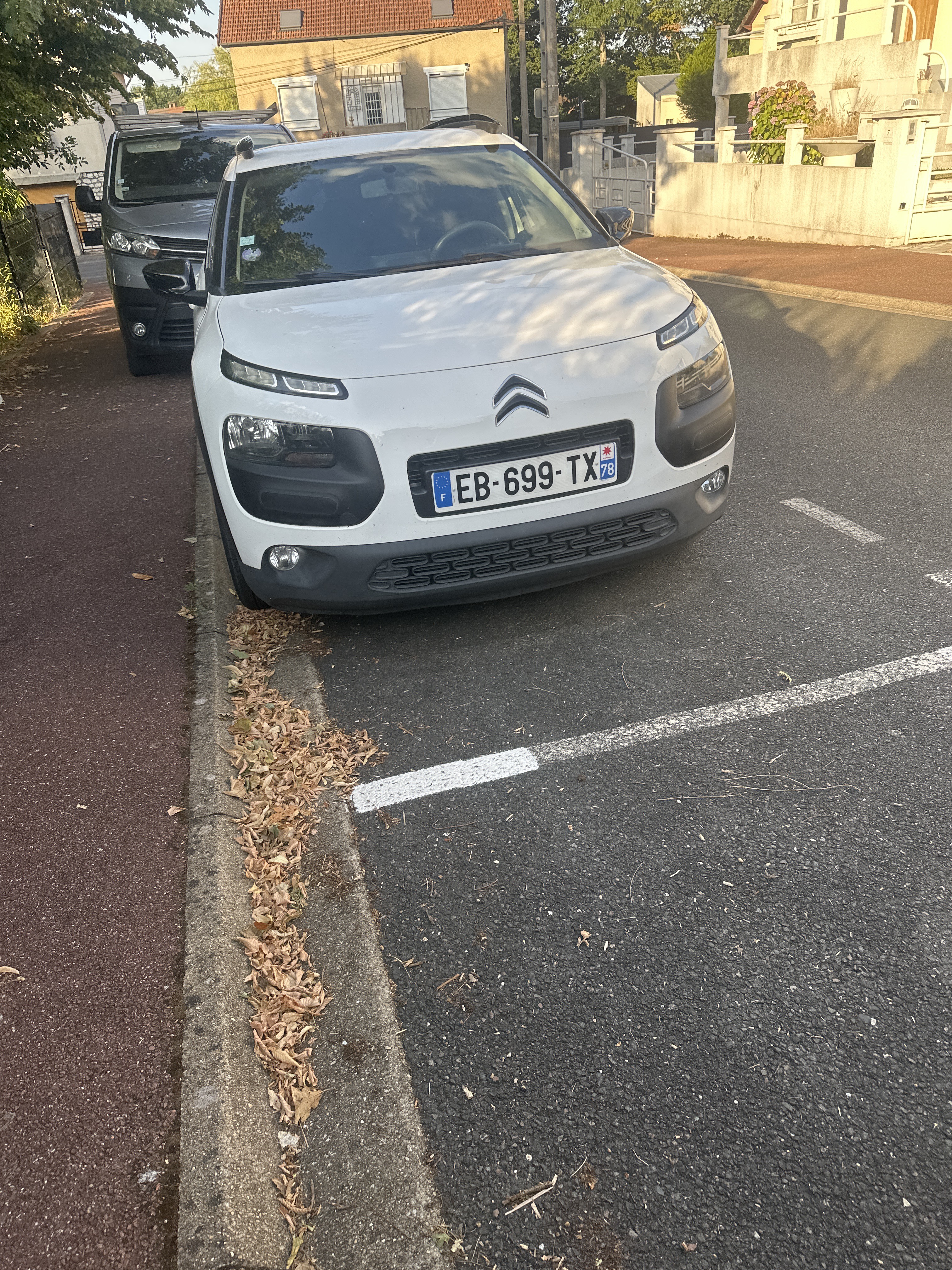 Signalement Véhicules stationnés prolongéement
