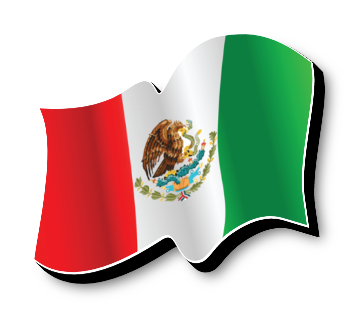 Left Facing Mexican Flag Self Contained Sign lit with LEDs